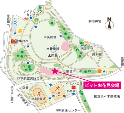 お花見会 代々木公園 ピットダイビングクラブのblog