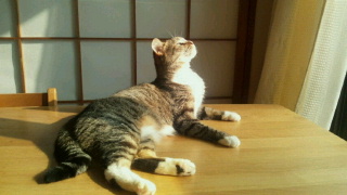2013091923420000.jpg