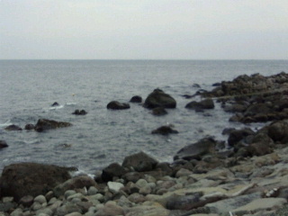 2014032911250000.jpg