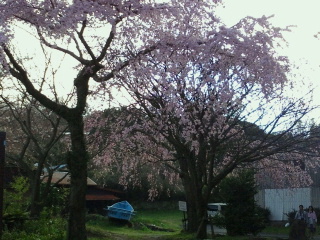 2014040221560000.jpg