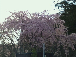 2014040221570000.jpg