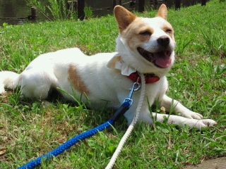 2014061823440000.jpg