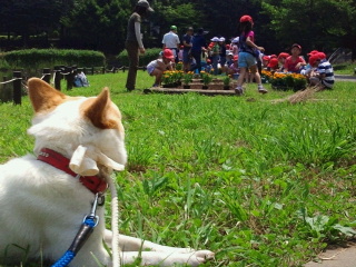2014061823460000.jpg