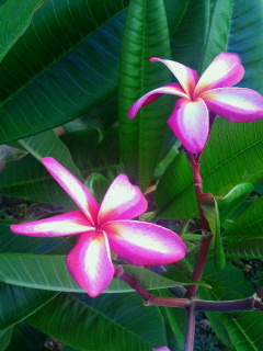 2014080807360000.jpg