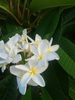 2014080807360001.jpg