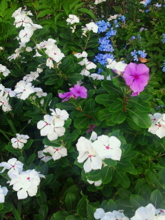 2014080807370000.jpg