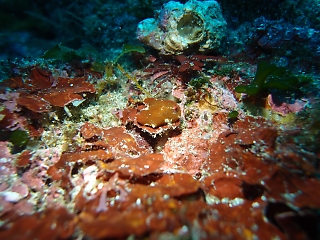 t110612_8.jpg