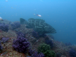 t_110707kumomi-2.jpg