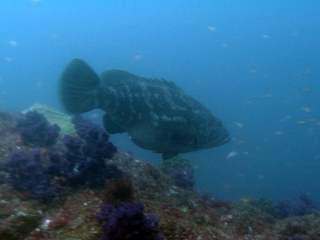 t_110707kumomi-3.jpg
