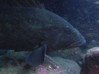 t_130324kumomi010.jpg