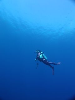 t_130501-05セブ(リロアン)174.jpg