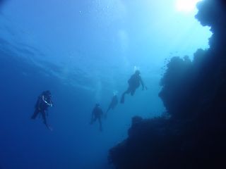 t_130501-05セブ(リロアン)176.jpg