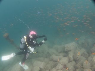 t_130602大瀬崎053.jpg