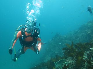 t_130812宮川湾003.jpg