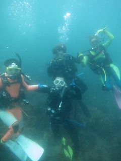 t_130822江之浦067.jpg