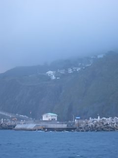 t_131005-08御蔵島020.jpg