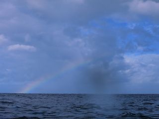 t_131005-08御蔵島141.jpg
