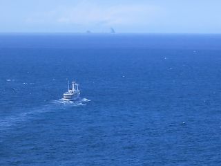 t_131005-08御蔵島177.jpg