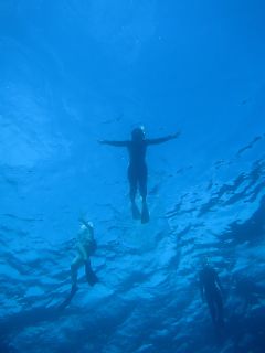 t_131005-08御蔵島223.jpg