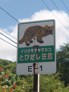 t_140807-11西表島002.jpg