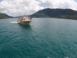 t_140807-11西表島004.jpg