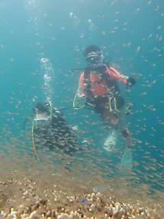 t_140807-11西表島013.jpg