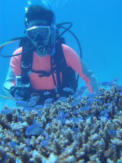 t_140807-11西表島062.jpg