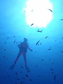 t_140807-11西表島069.jpg
