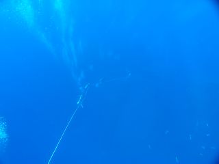 t_140807-11西表島132.jpg
