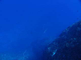 t_140807-11西表島141.jpg