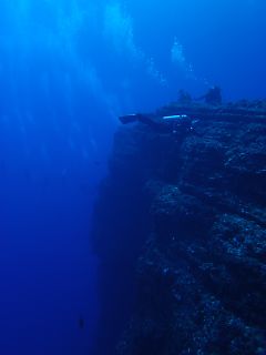 t_140807-11西表島154.jpg
