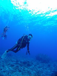 t_140807-11西表島180.jpg