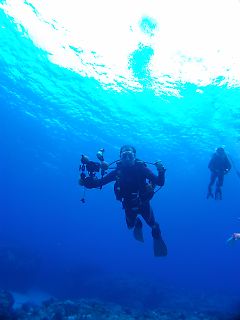 t_140807-11西表島181.jpg