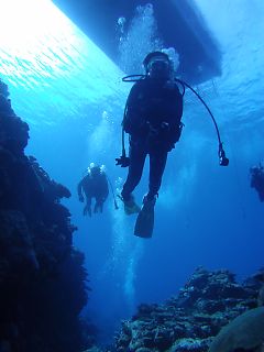 t_140807-11西表島200.jpg