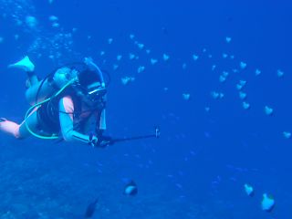 t_140807-11西表島210.jpg