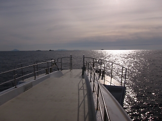 t_IMG_1773.jpg