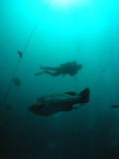 t_P1010212.jpg