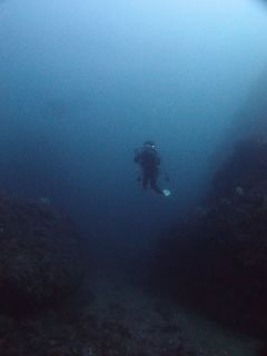 t_P4291907.jpg