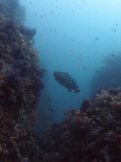 t_P4291921.jpg