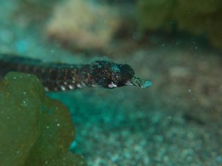 t_P5122509.jpg