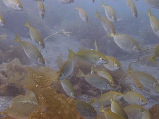 t_P5122517.jpg