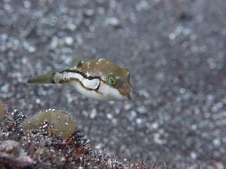 t_P5122523.jpg