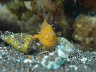 t_P5122529.jpg