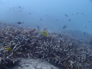 t_P7240475.jpg