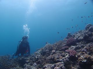 t_P7240489.jpg