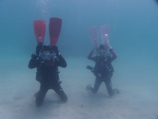 t_P7240522.jpg