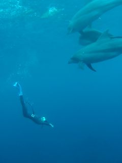 t_P9021348.jpg
