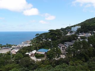 t_P9021365.jpg