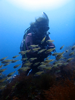 t_P9151128.jpg