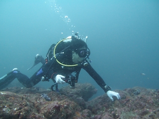 t_PA101840.jpg